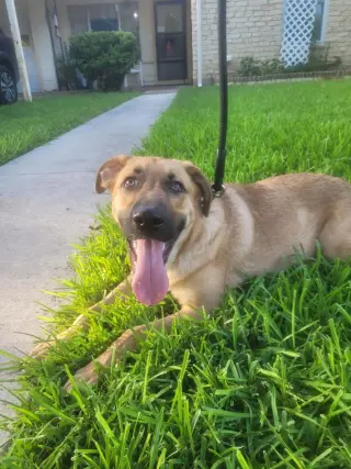 Max