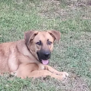 Max
