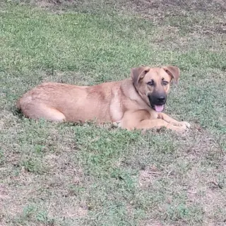 Max