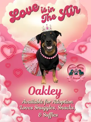 Oakley