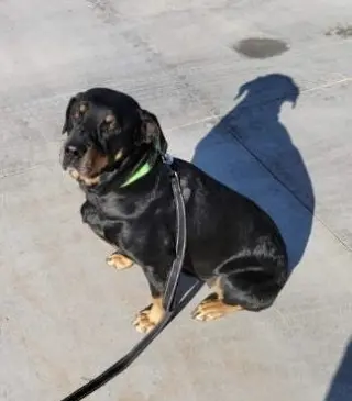Oakley