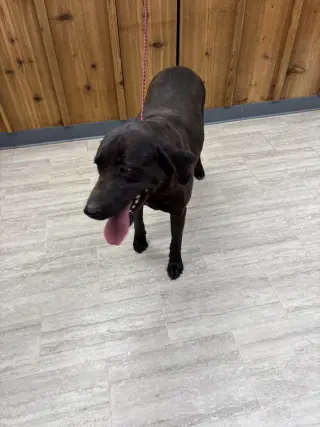 Tank