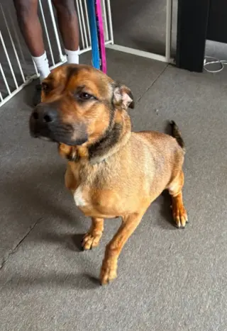 Barry