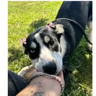 Molly