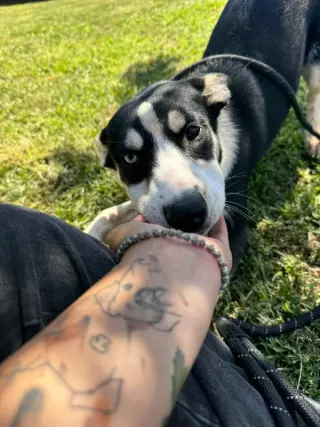 Molly