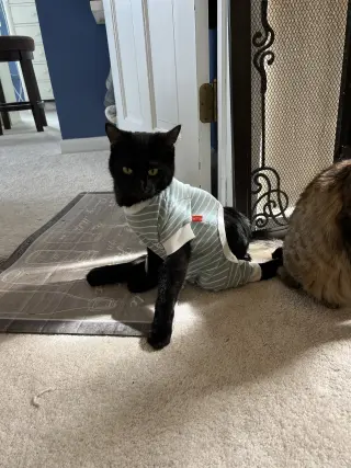 Thomas