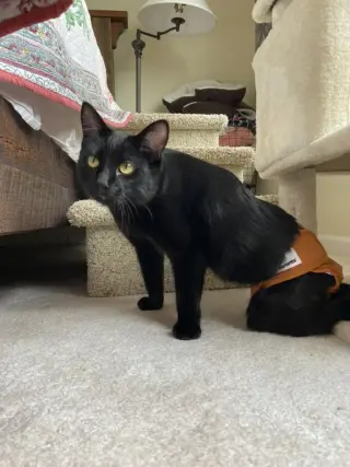 Thomas