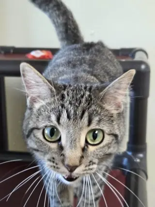 Wendy