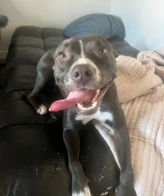 Nala