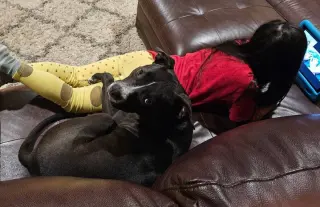Nala