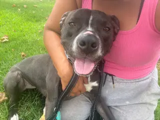 Nala
