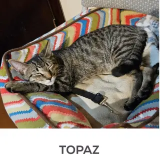 TOPAZ