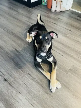 Tytan