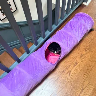Sir
