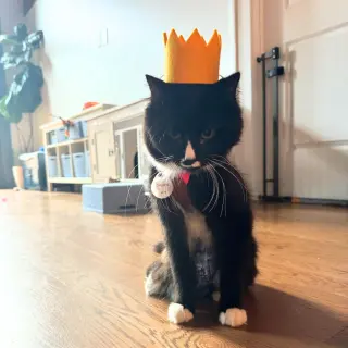 Sir