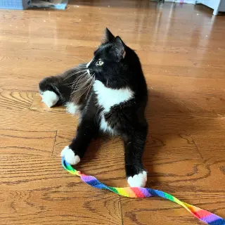 Sir
