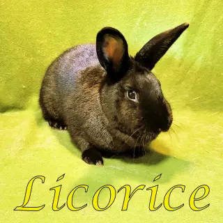 Licorice