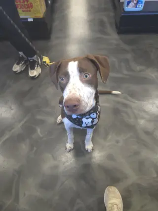 Huxley