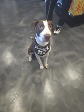 Huxley