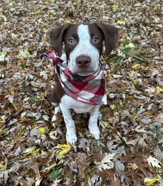 Huxley