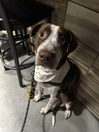Huxley
