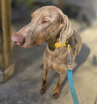 Marley Mae