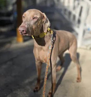 Marley Mae