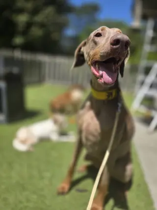 Marley Mae