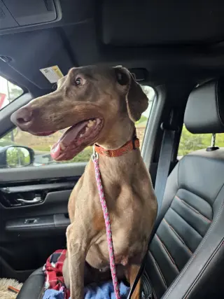 Marley Mae