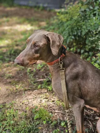 Marley Mae