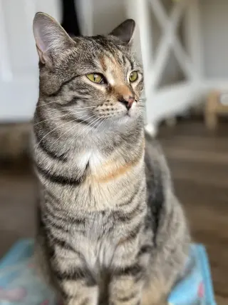 Aquamarine