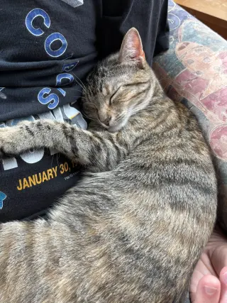 Cleo