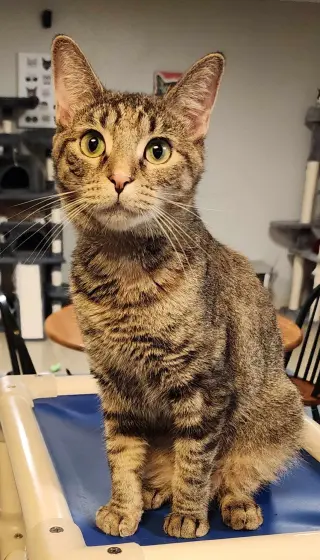 Sugar