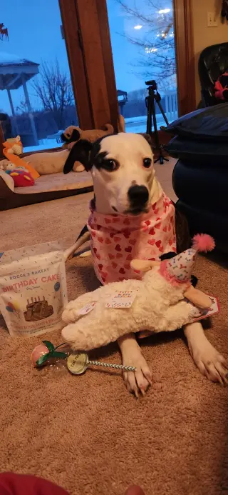 Piper Jo