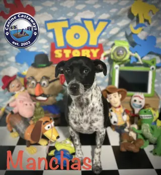 Manchas