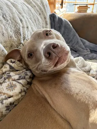 Maggie