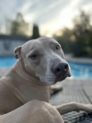 Maggie
