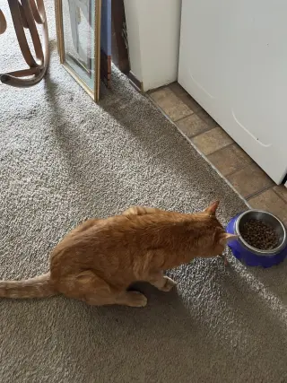 zz "Oliver" URGENT courtesy listing