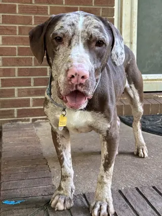 Jasper