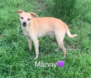 Manny