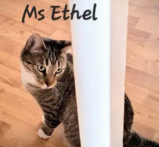 Ms Ethel #low-maintenance