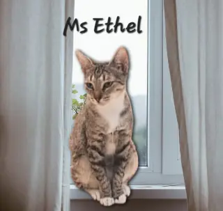 Ms Ethel #low-maintenance