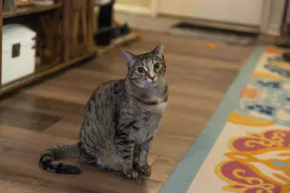 Wynona (Winnie)