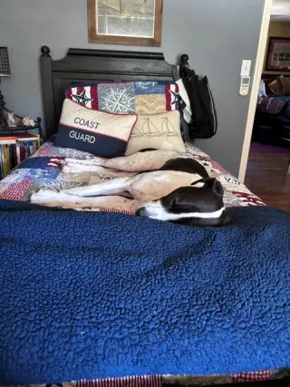Cooper Lizman
