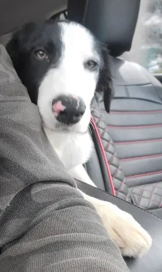 Nimbus