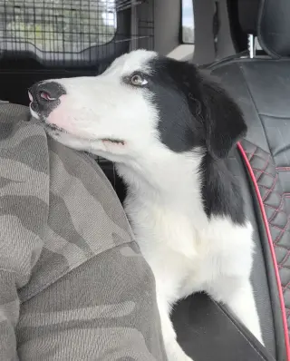 Nimbus