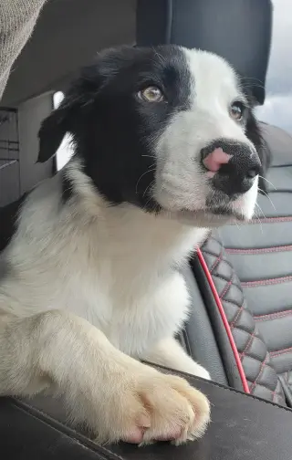 Nimbus