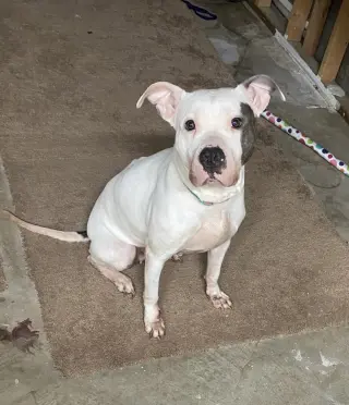 BLANCA (COURTESY POST)
