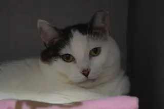 Quinn