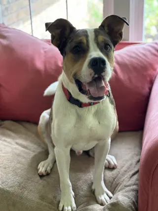 Hudson